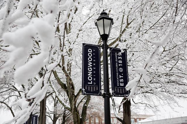 Longwood banner in the snow